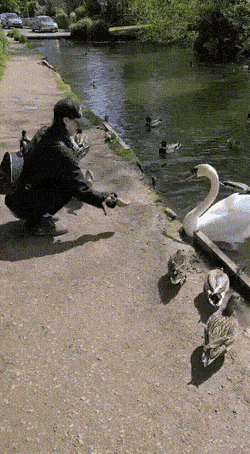 daily_gifdump_3617_22.gif