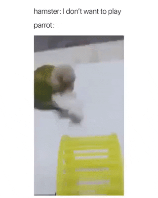 daily_gifdump_3622_24.gif
