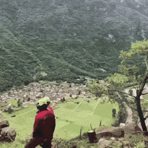 daily_gifdump_3634_26.gif