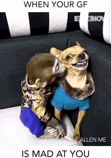 daily_gifdump_3934_54.gif