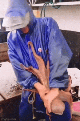 daily_gifdump_4388_22.gif