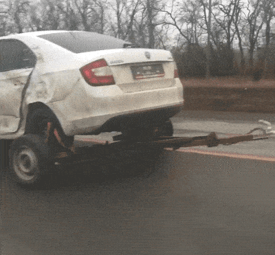 daily_gifdump_4555_21.gif