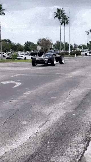 daily_gifdump_4555_55.gif
