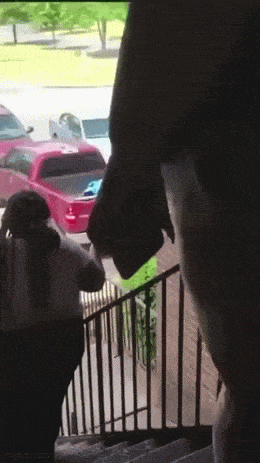 daily_gifdump_4943_09.gif