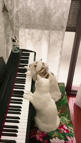 daily_gifdump_4957_42.gif