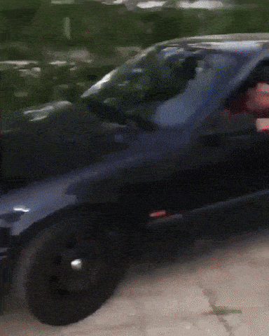 daily_gifdump_4957_47.gif