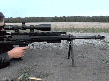 daily_gifdump_4961_18.gif