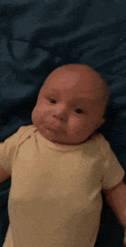daily_gifdump_4961_29.gif
