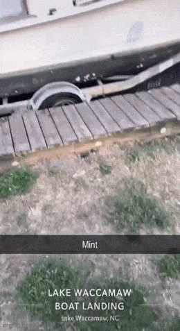 daily_gifdump_4963_29.gif