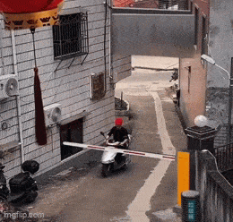 daily_gifdump_4991_23.gif