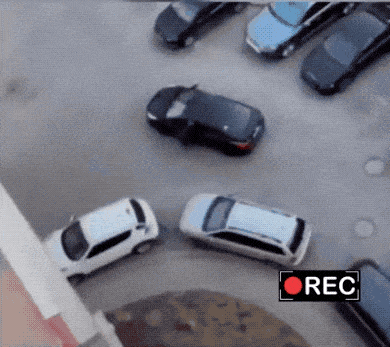 daily_gifdump_5001_06.gif