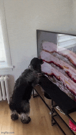 daily_gifdump_5013_06.gif
