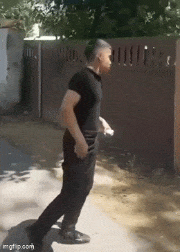 daily_gifdump_5013_15.gif