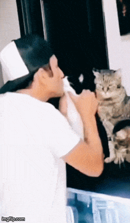 daily_gifdump_5013_28.gif