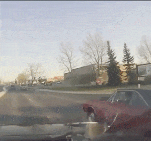 daily_gifdump_5020_07.gif