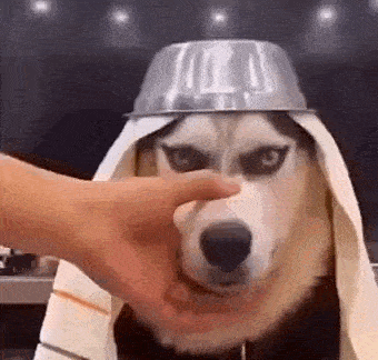 daily_gifdump_5021_08.gif
