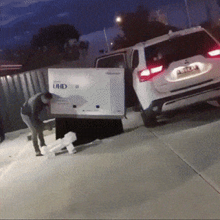 daily_gifdump_5024_07.gif