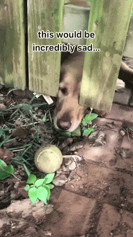 daily_gifdump_5029_10.gif