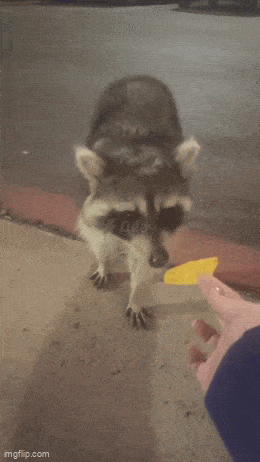 daily_gifdump_5029_12.gif