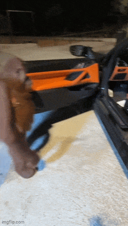 daily_gifdump_5029_15.gif