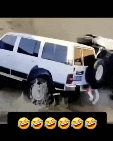 daily_gifdump_5030_54.gif