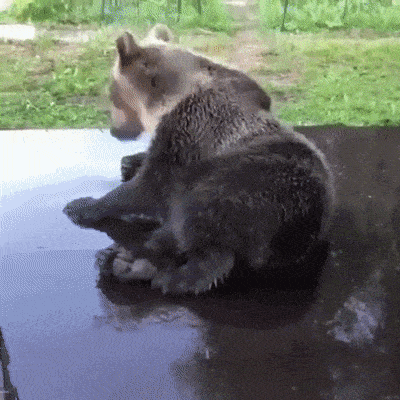 daily_gifdump_5031_05.gif