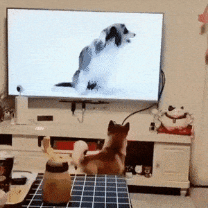 daily_gifdump_5033_22.gif