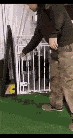 daily_gifdump_5033_52.gif