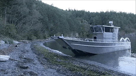 daily_gifdump_5033_56.gif