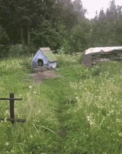 daily_gifdump_5037_24.gif