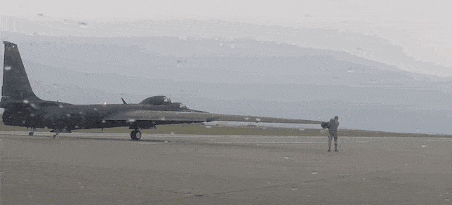 daily_gifdump_5040_01.gif