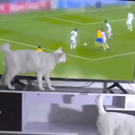 daily_gifdump_5072_37.gif