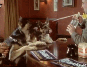 daily_gifdump_5075_05.gif