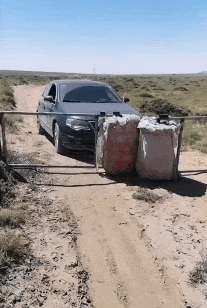 daily_gifdump_5076_02.gif