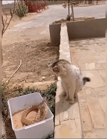 daily_gifdump_5076_31.gif