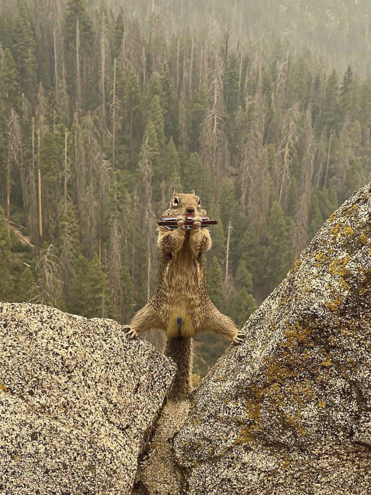 daily_picdump_3920_640_high_19.jpg