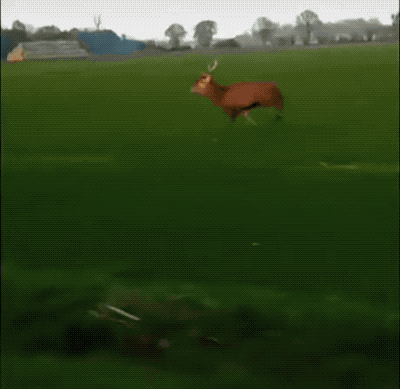 daredevil.gif