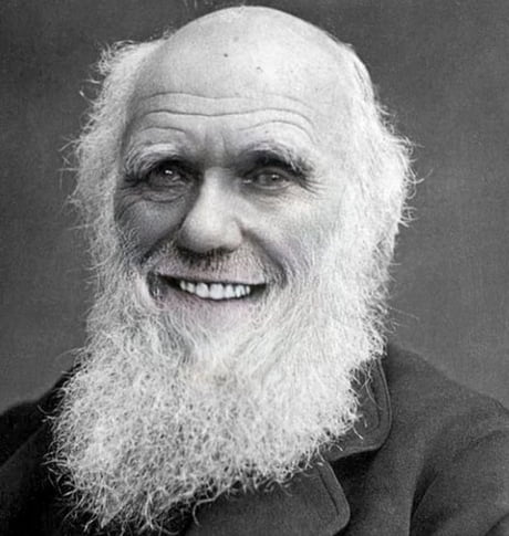 darwin.jpg