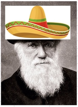 Darwin Sombrero .jpg