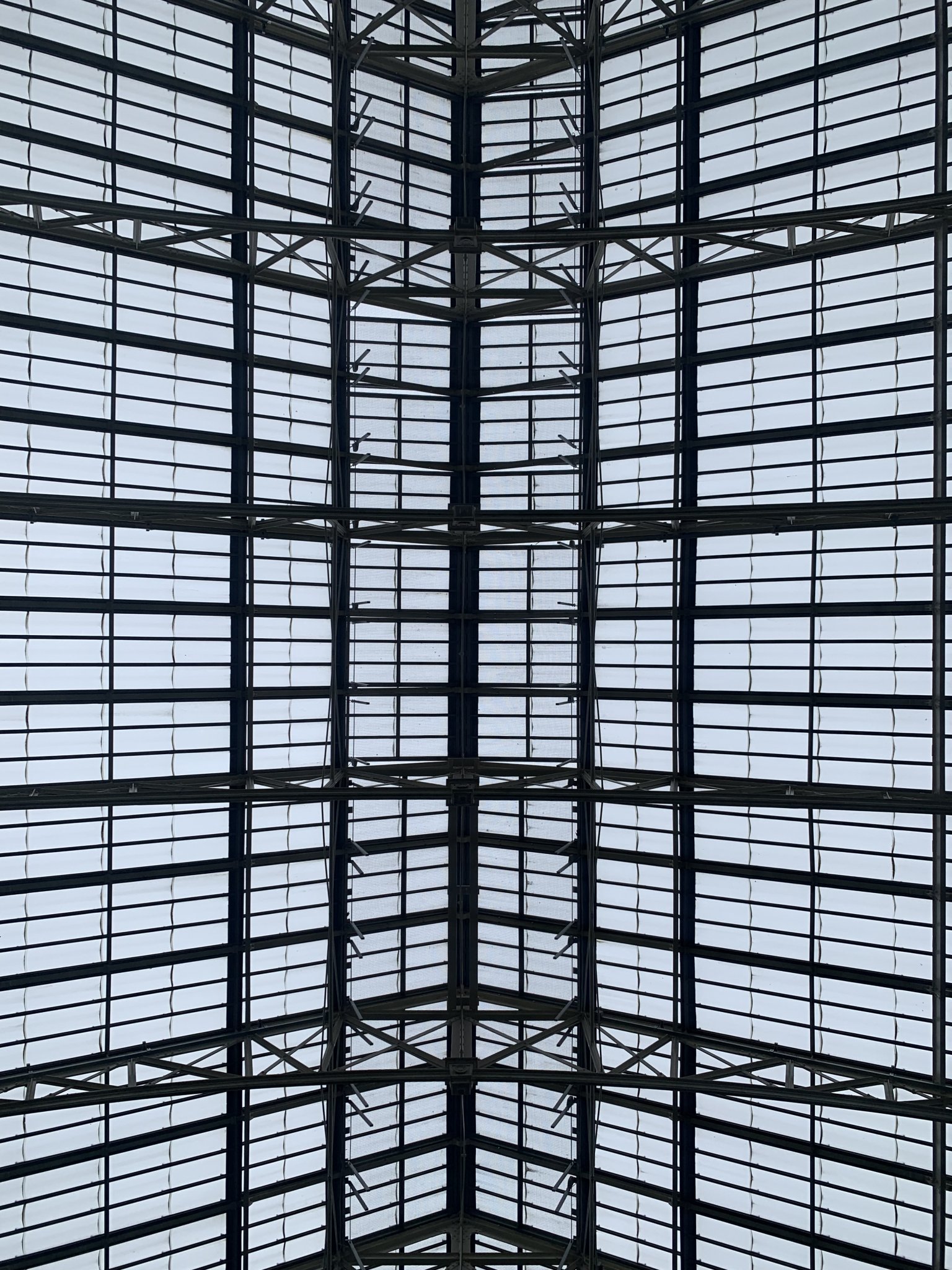 DB85D94C-79ED-4322-A885-9E85FEC9945A.jpeg