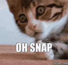 DBB36BC3-19E8-4075-8EBD-2ADA9AF78528.gif