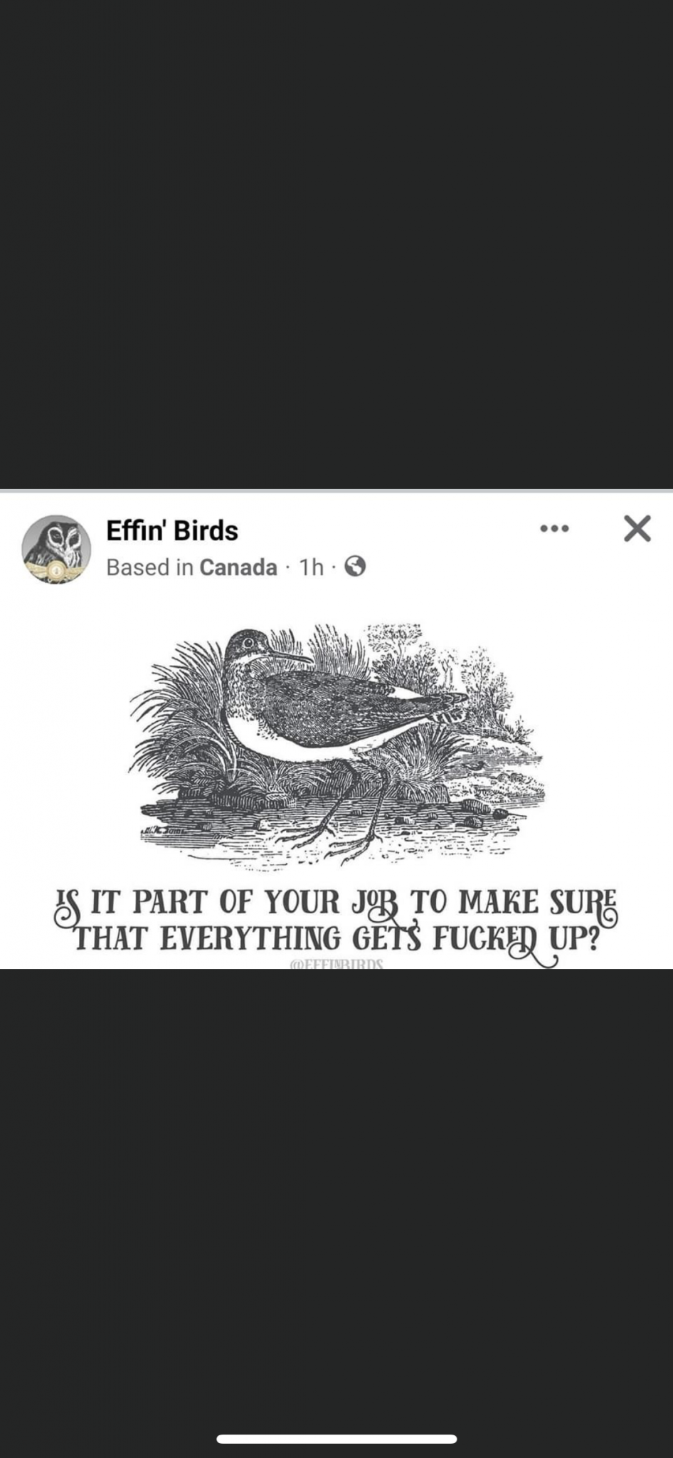 DBF7D3BC-37FB-4FC9-B371-F058D36235D9.png