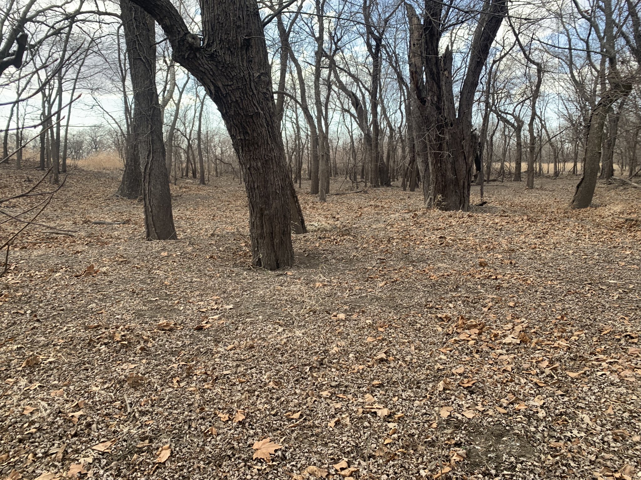 DC3BF760-5B84-4285-AF30-7AA3D9BD1C42.jpeg