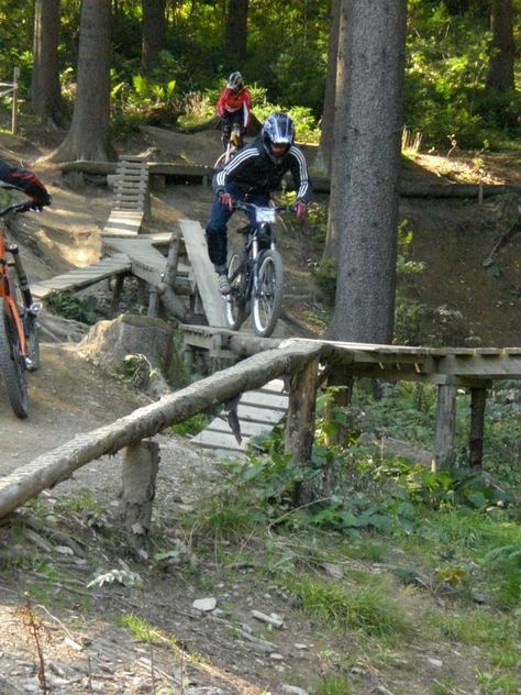 dc5898dac5f91e4fdc216c217f11c4f9--balance-beam-north-shore.jpg