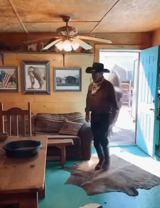 DCDEE4E3-25D5-481D-BA66-70889F7A6353.gif