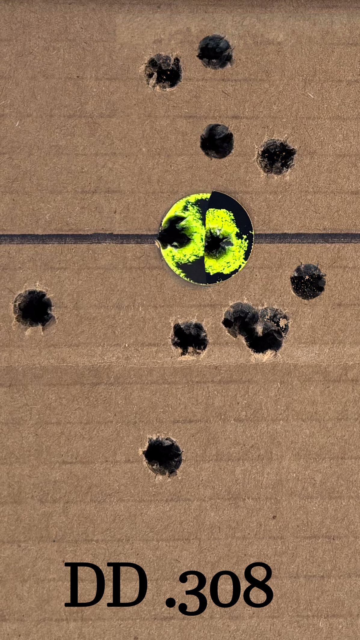 DD308 Composite.jpg