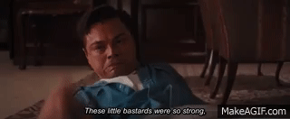 DD852694-B2D7-4FBC-8EB3-12D536C0D59B.gif