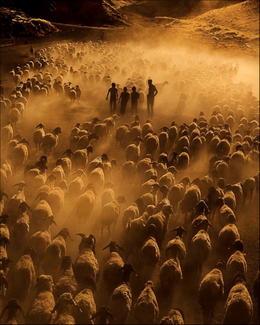 DE41C981-785B-4C3D-906A-EE8D6361D7FF.png