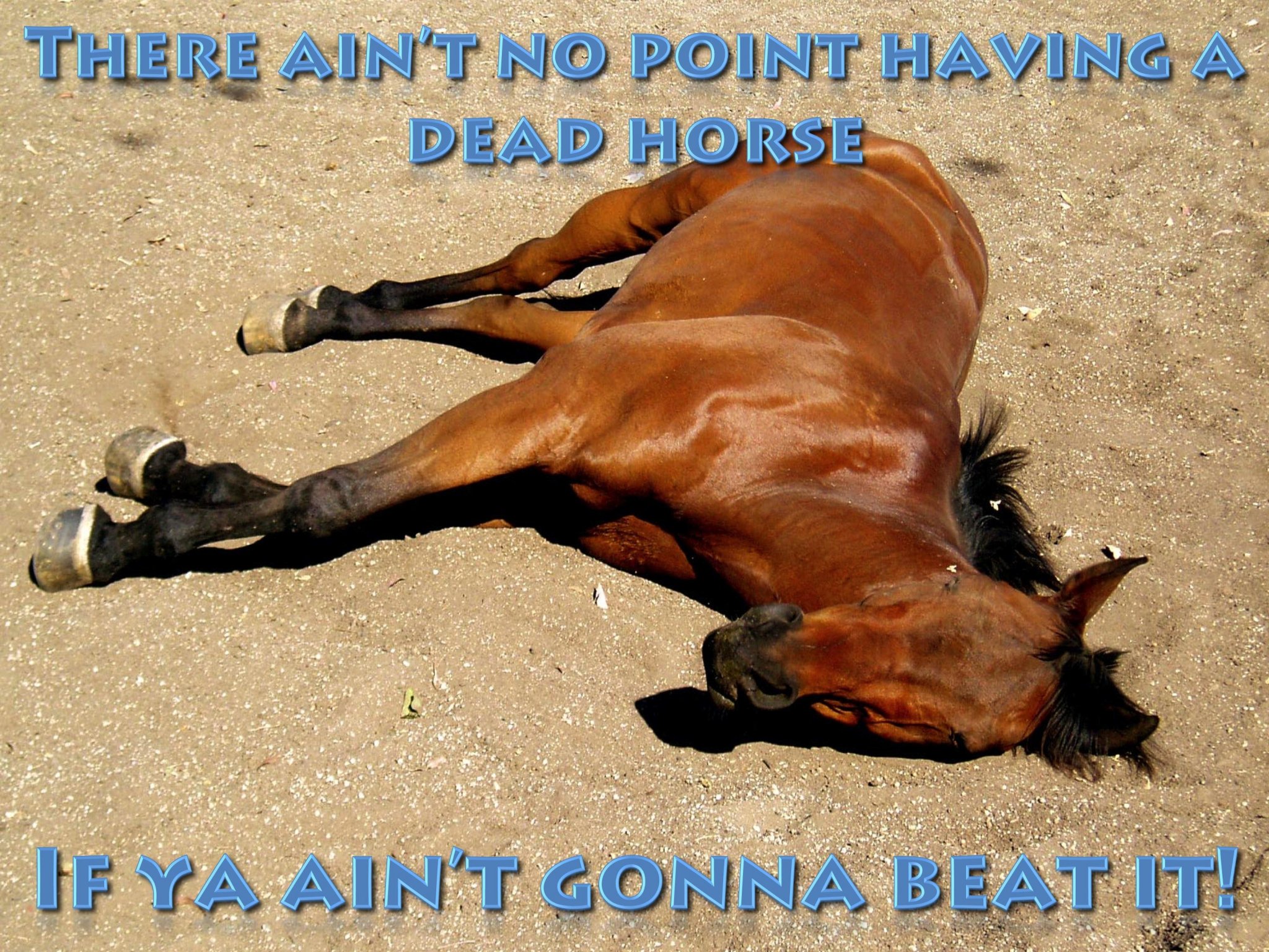 DeadHorse.jpg