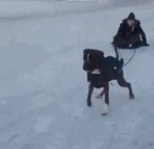 dec-15-2019-14-24-55.gif